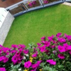 Edelweiss Terrasse
